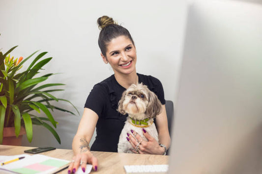 The Ultimate Guide to Essential Pet Accessories Every Dog Owner Should Own